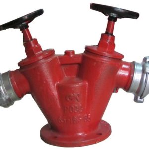 HỌNG TIẾP NƯỚC 2 CỬA D65